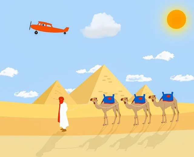 رحلات سفاري