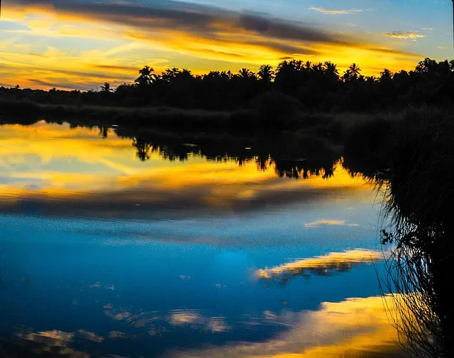 شهر العسل — جزر المالديف