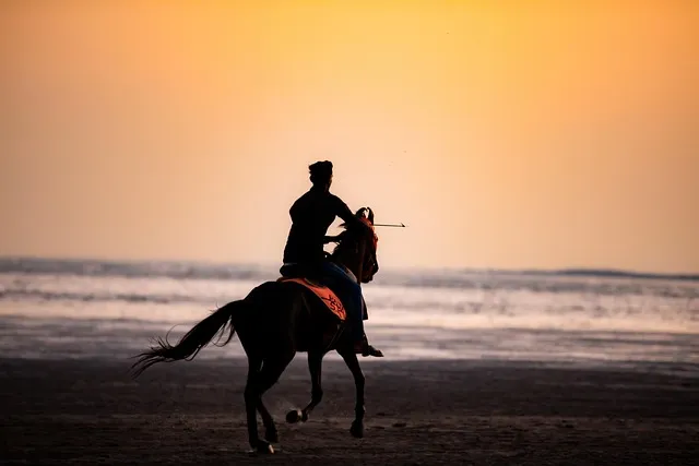 ركوب الخيل في الغردقة