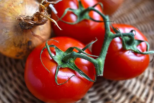 Vine-ripened Egyptian tomatoes in export crates