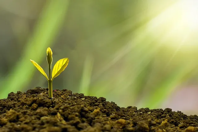 Financial growth and success at KALP & Associates