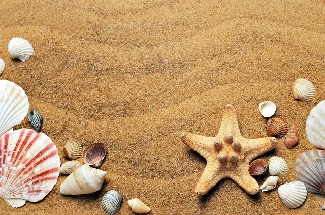 صورة حي المهبولة في محافظة الأحمدي