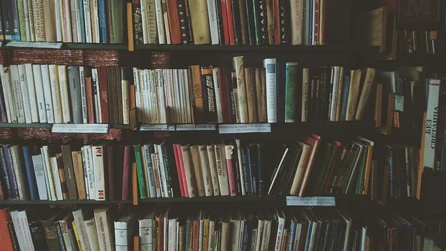 مكتبة المدرسة المليئة بالكتب