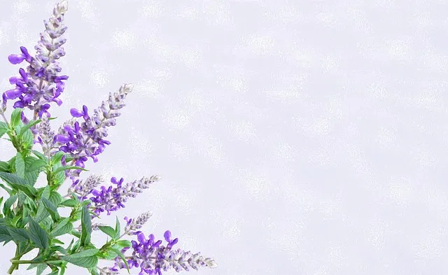 تصميم كرت فرح رقم 4 من موقع ميدو للتصميمات