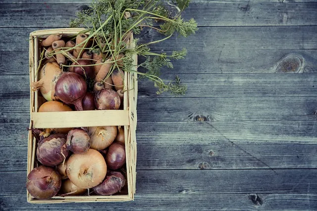 Red and golden onions packed for international shipment