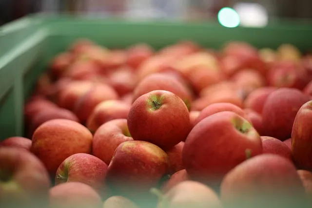 Fresh produce packed and ready for export shipment