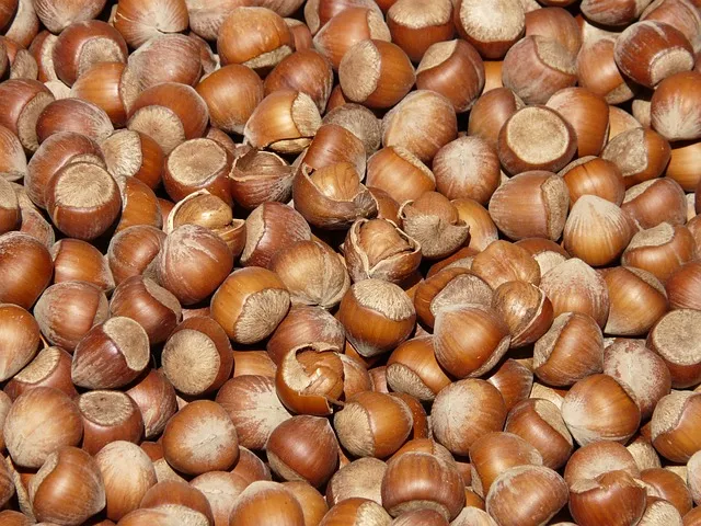 بندق بقشره