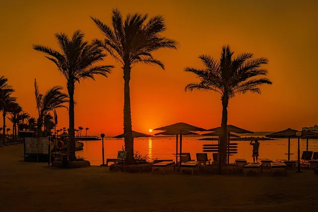 سفاجا